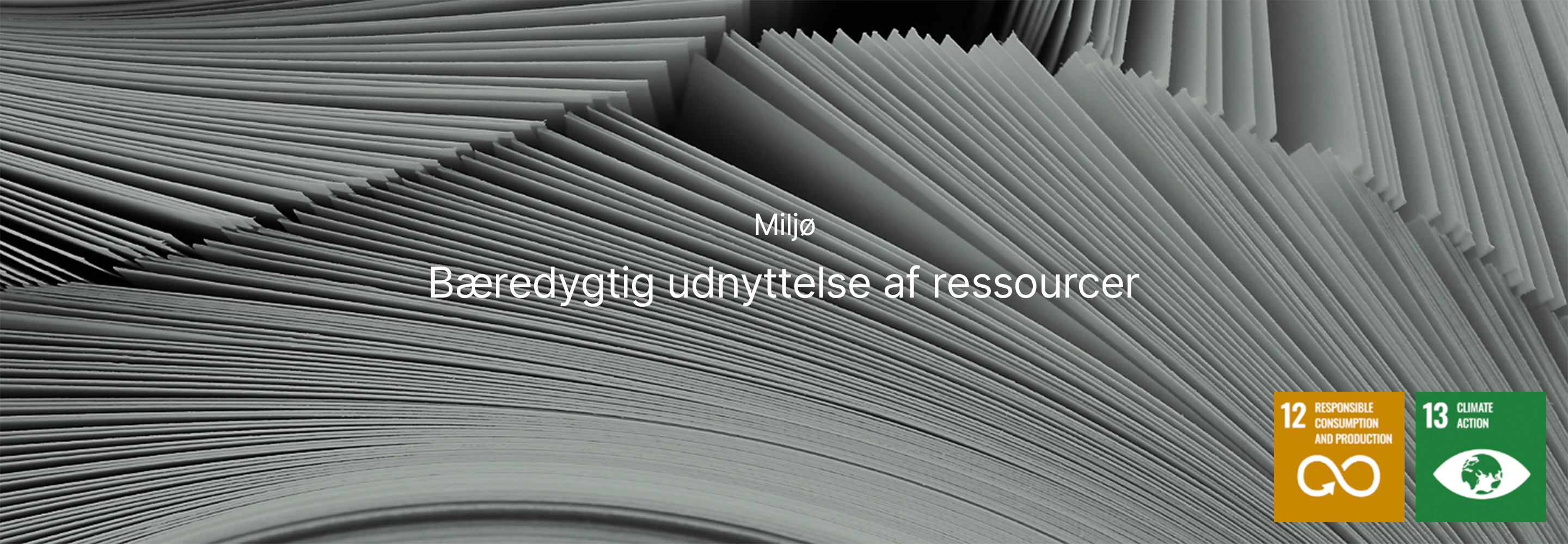Miljø Bæredygtig brug af ressourcer