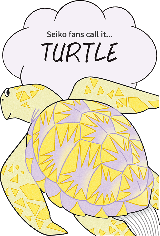 Tortuga