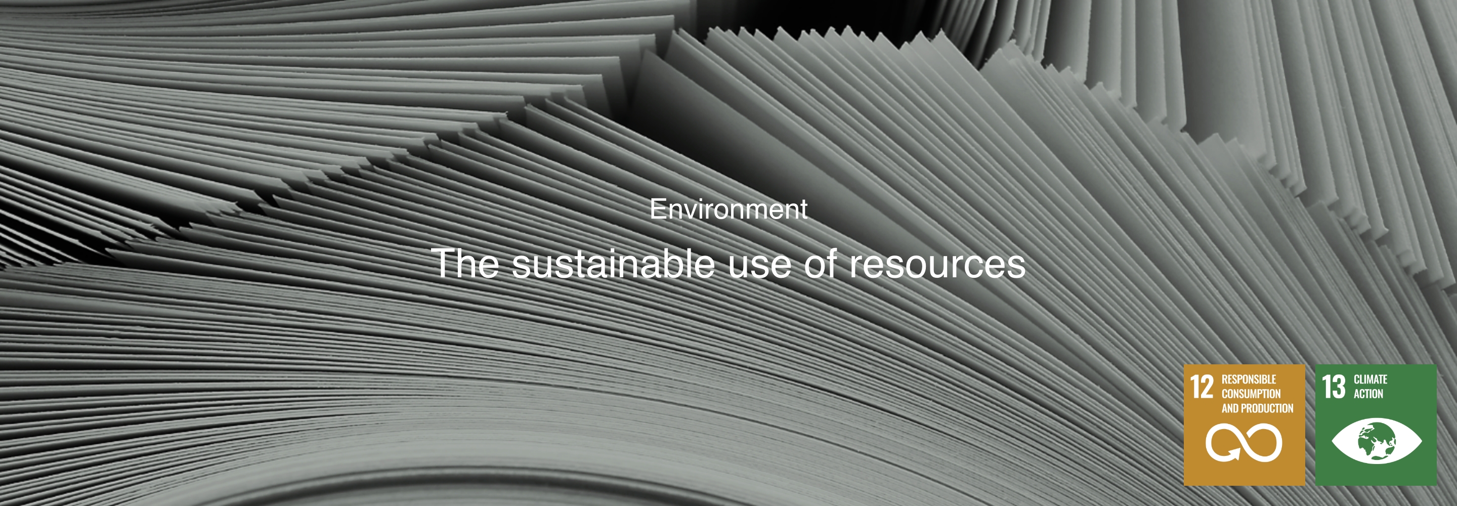 Ambiente O uso sustentável de recursos