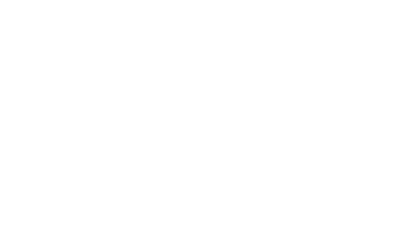 Seiko 145th Anniversary