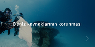 Deniz kaynaklarının korunması