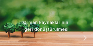 Orman kaynaklarının geri dönüştürülmesi