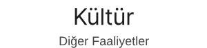Kültür Diğer faaliyetler