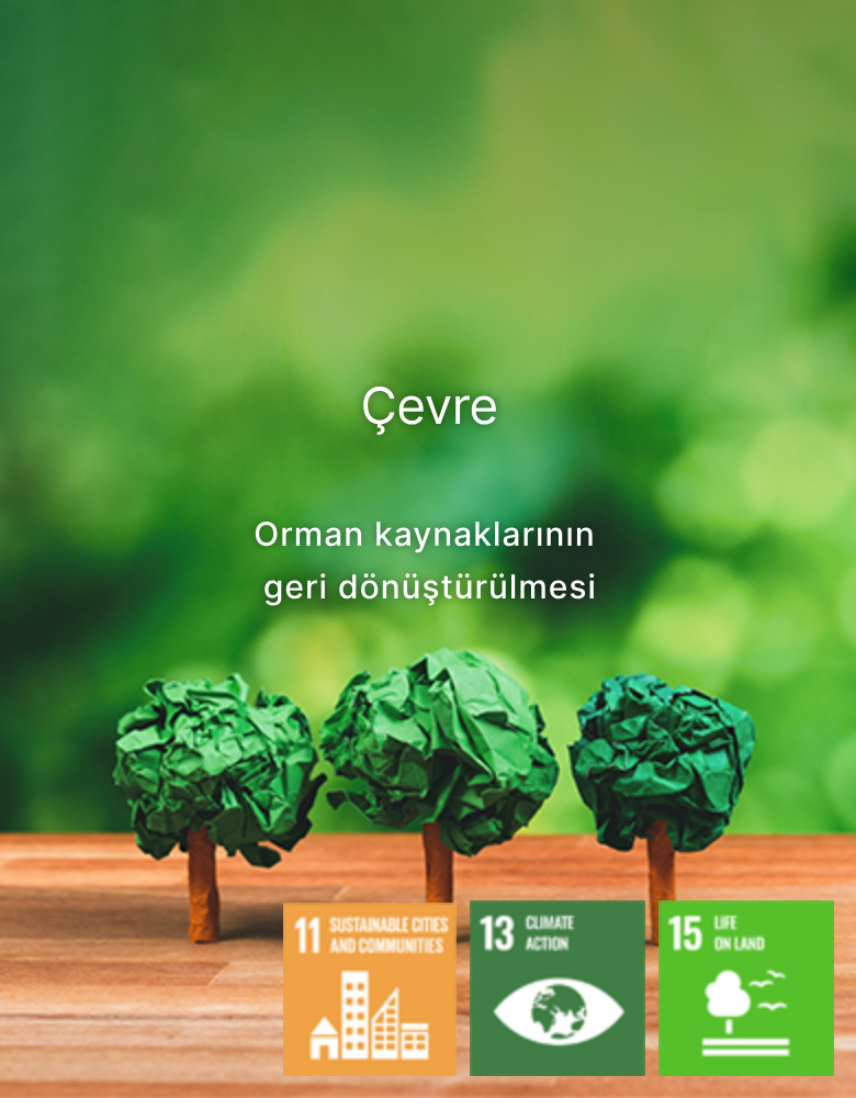 Environment Recycling forest resources
